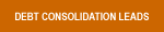 DEBT CONSOLIDATION LEADS 