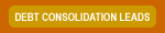 DEBT CONSOLIDATION LEADS 