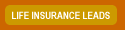LIFE INSURANCE LEADS 